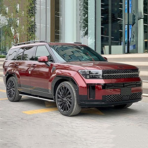 Hyundai Santafe 7 Chỗ